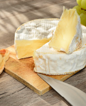 Cheese