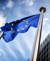 European Parliament