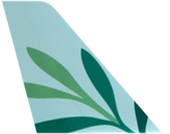 Cyprus airway