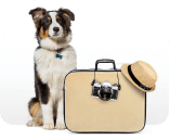 SKY Pets<br/>Traveling with a pet